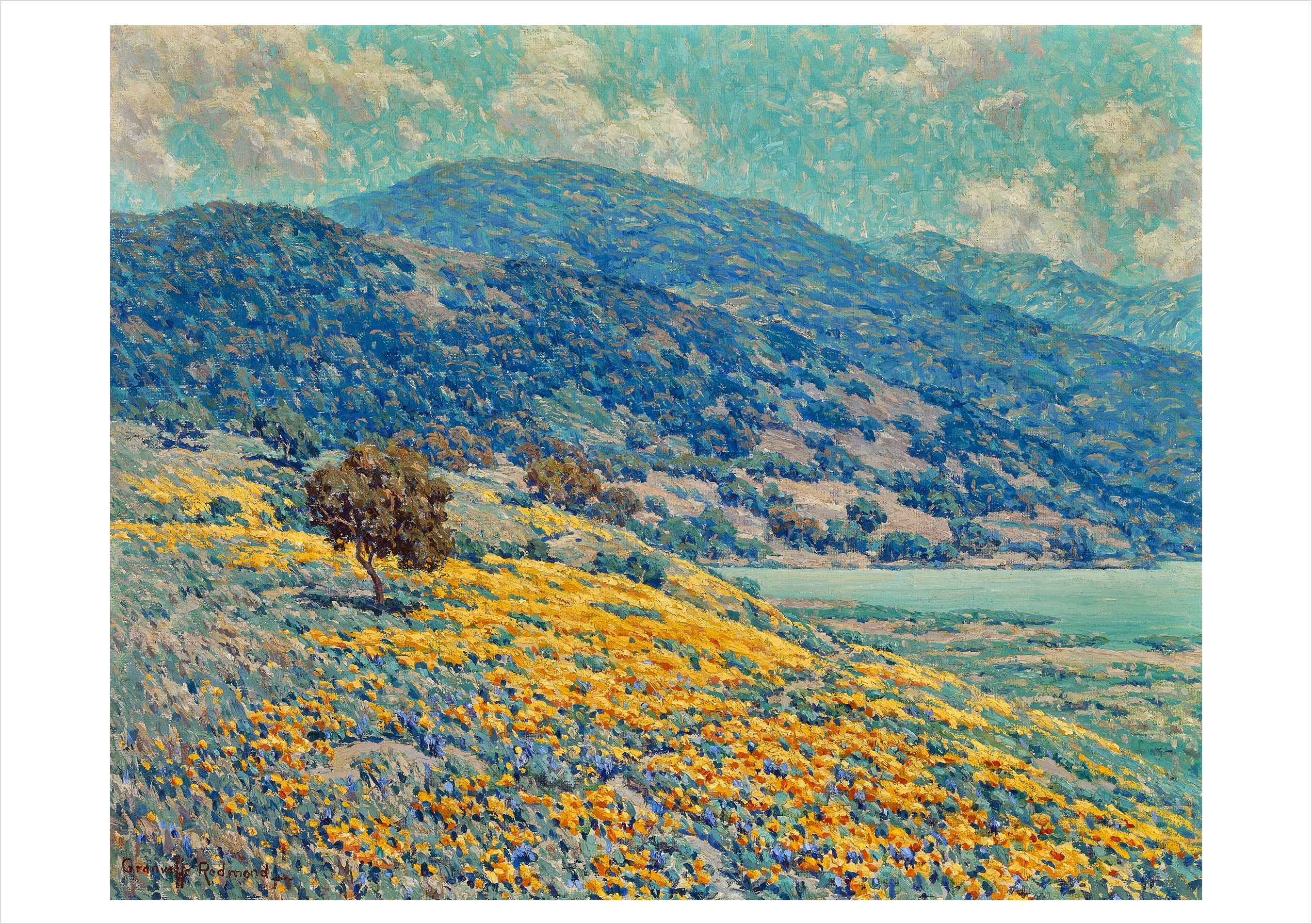 pomegranate-redmond-wild-poppies-gru-kartenset-20-karten-landschaft image 5