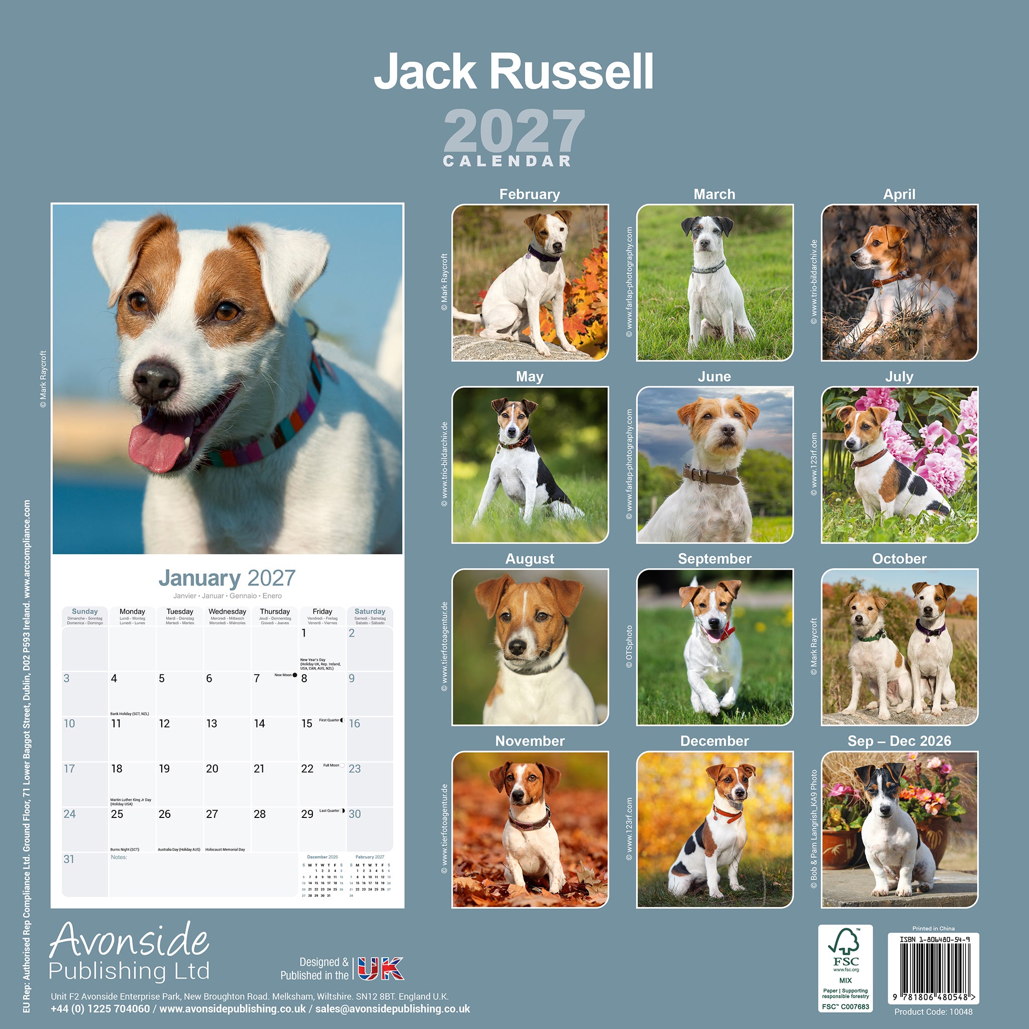 otter-house-jack-russell-wandkalender-2027-hundekalender-monat image 2