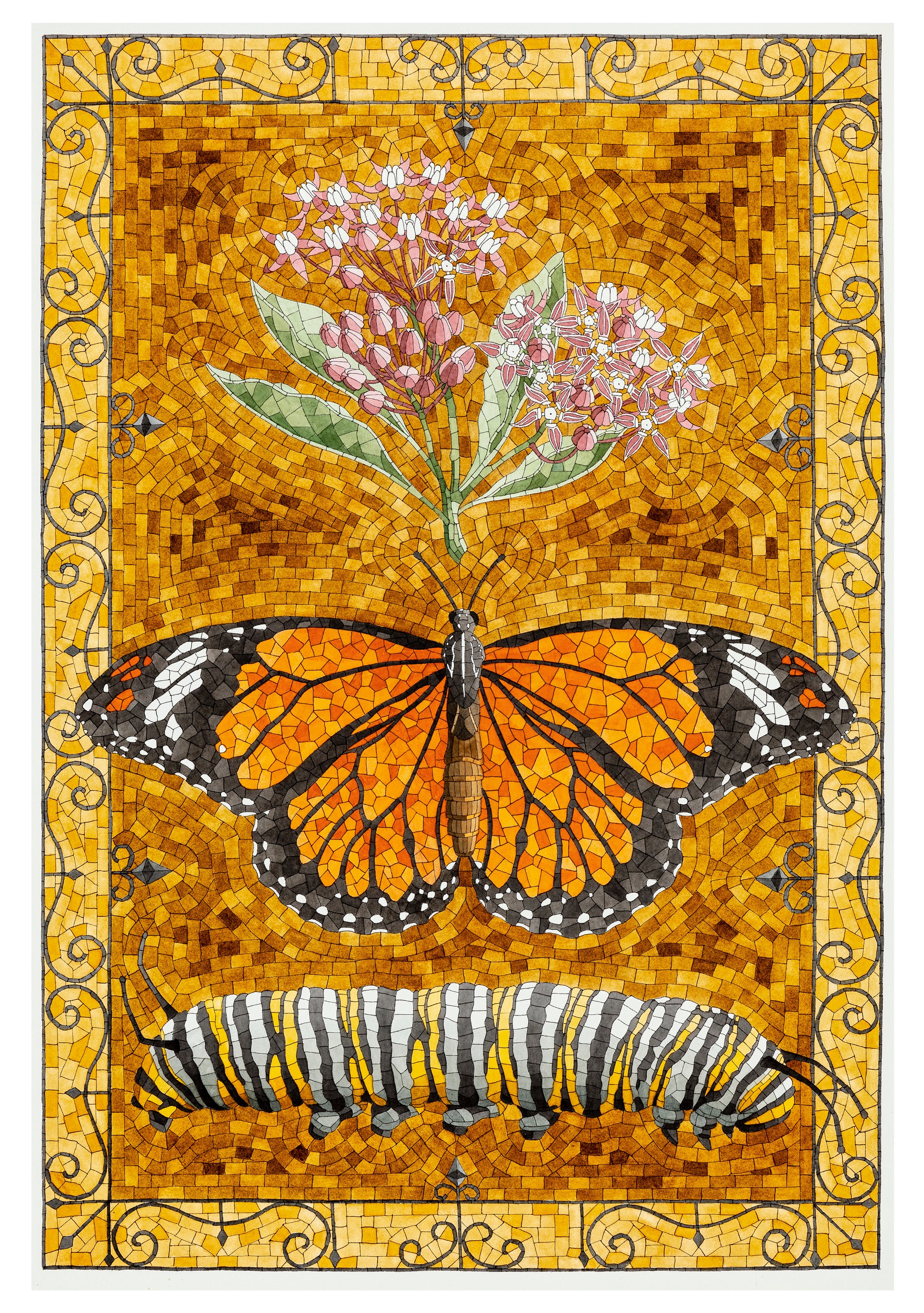 pomegranate-david-cohen-butterflies-karten-set-20-teilig image 4