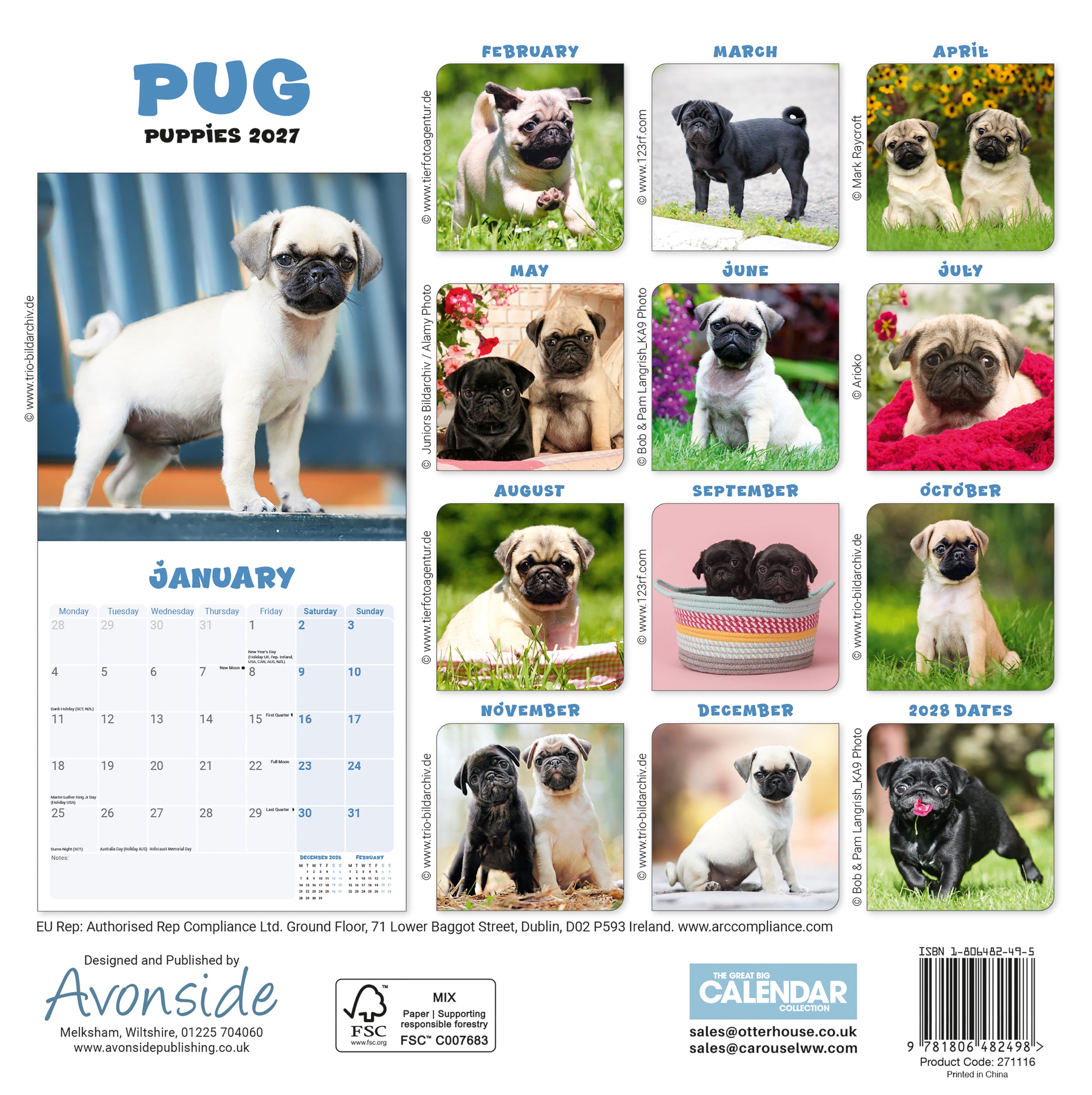 otter-house-pug-puppies-mini-calendar-2027-wandkalender-mops image 2