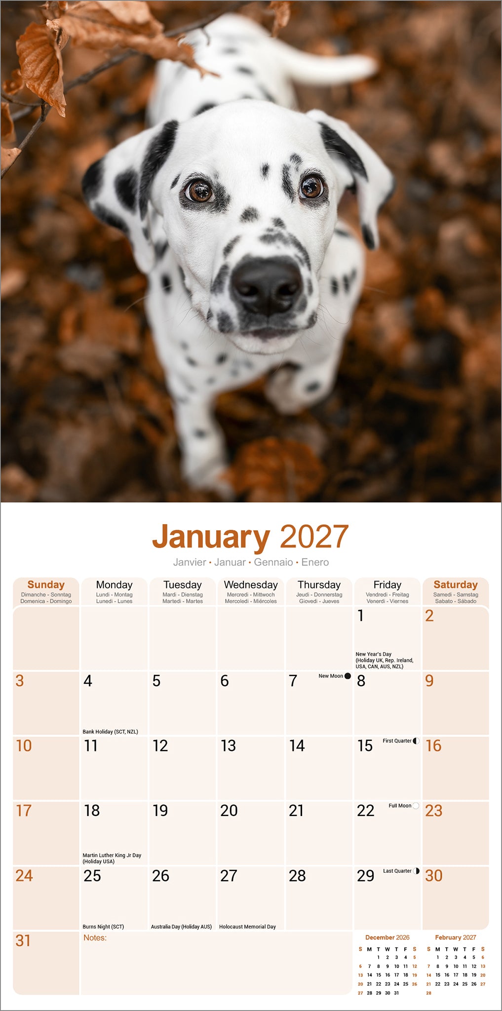 otter-house-dalmatian-wandkalender-2027-hunde image 3