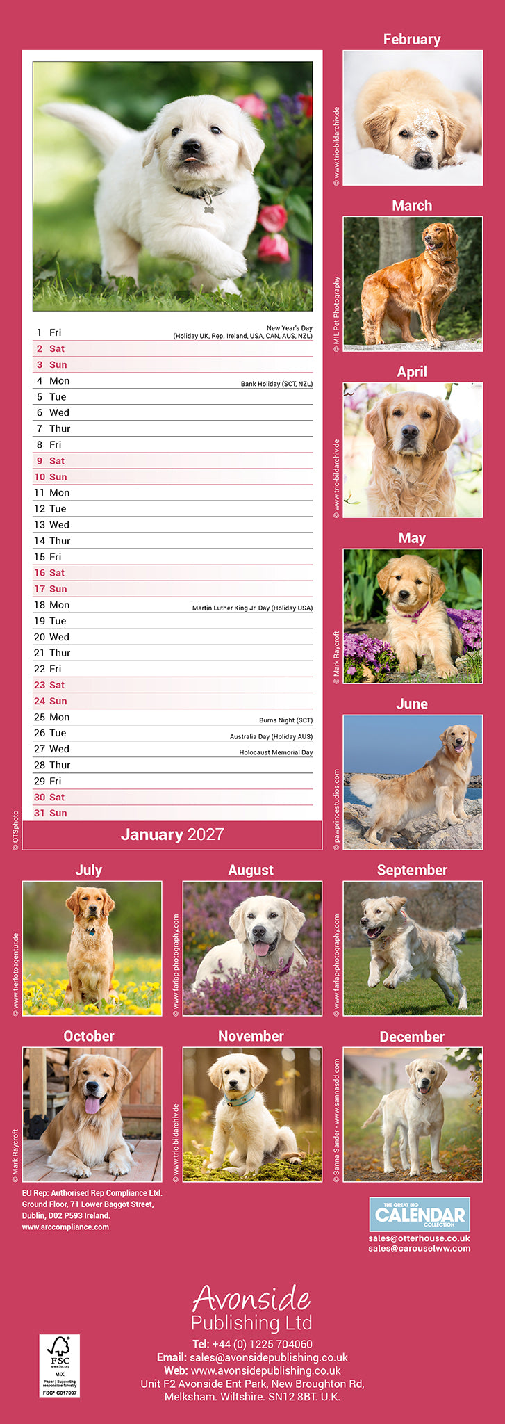 otter-house-golden-retriever-slim-kalender-2027-hunde-liste image 2