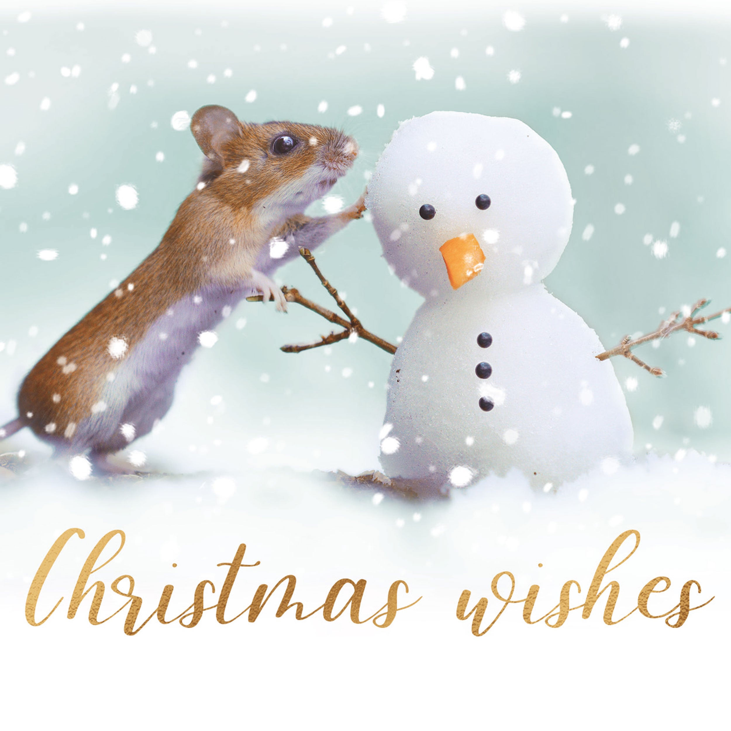 otter-house-mouse-friend-weihnachtskarten-charity-set image 1