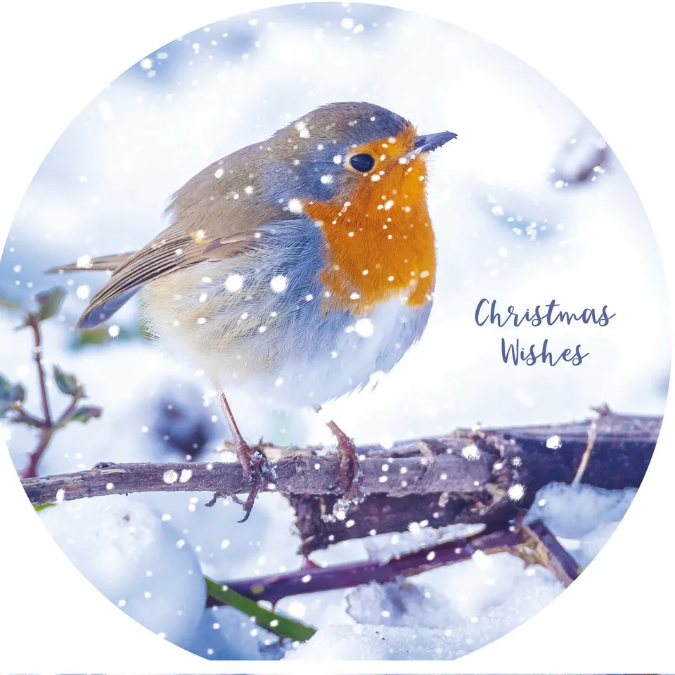 otter-house-christmas-weihnachtskarten-snowfall-robins-10er image 1