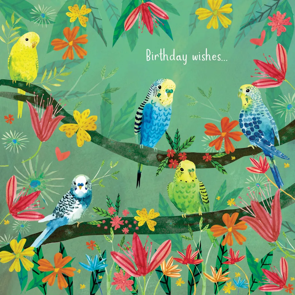 otter-house-fusion-budgies-grusskarte-wellensittiche image 1