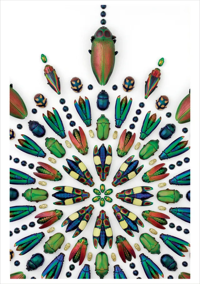 pomegranate-birthday-cards-marley-prism-geburtstagskarte-tiermotiv image 1