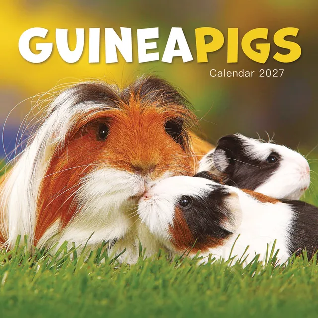 otter-house-guinea-pigs-mini-kalender-2027-meerschweinchen image 1