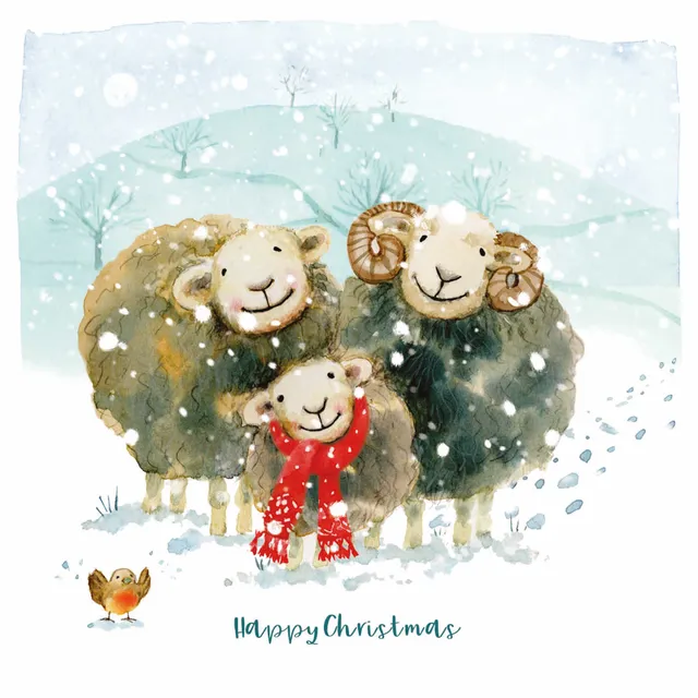 otter-house-huddling-herdwicks-weihnachtskarten-charity-set image 1