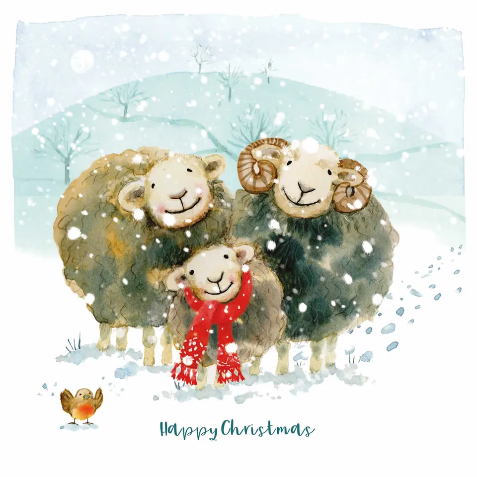 otter-house-huddling-herdwicks-weihnachtskarten-charity-set image 1