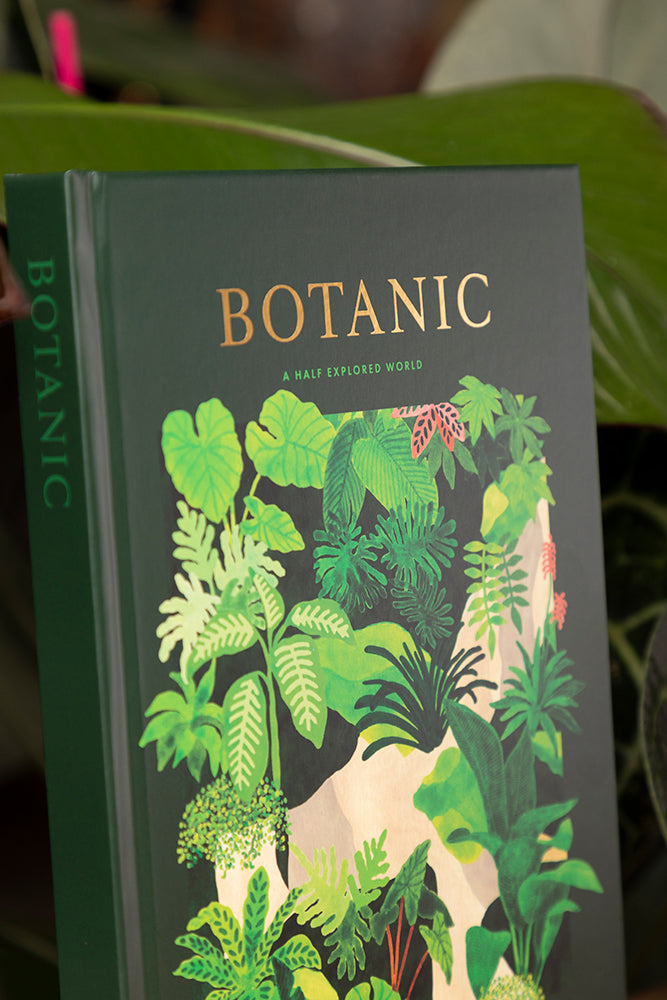 all-the-ways-to-say-botanic-notizbuch-a5-liniert-dschungel image 2