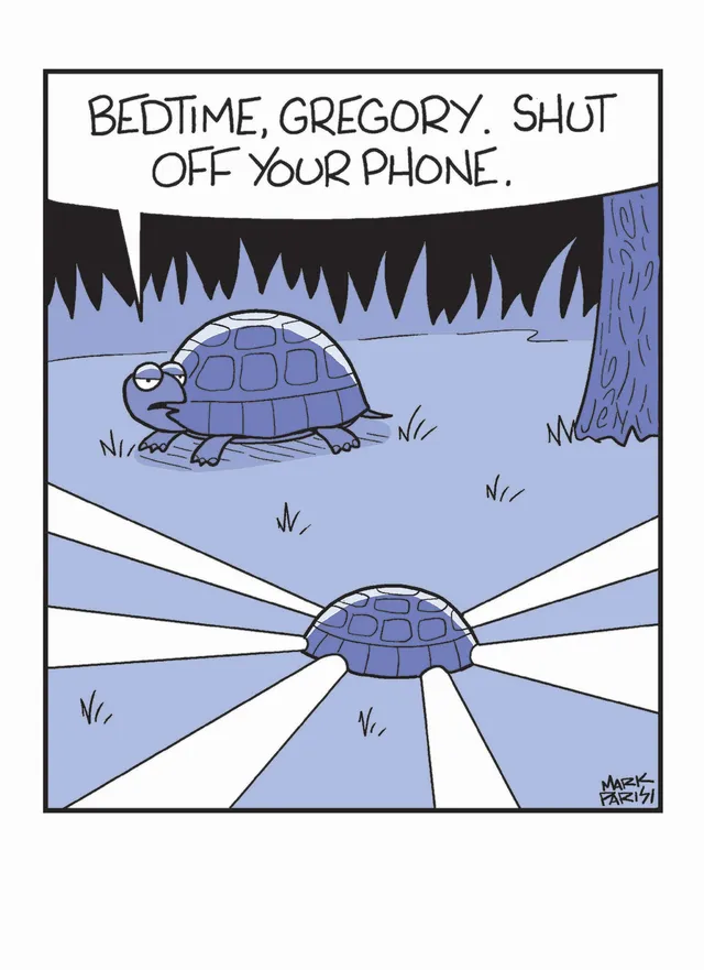 otter-house-off-the-mark-gru-karte-bedtime-schildkr-te-comic image 1