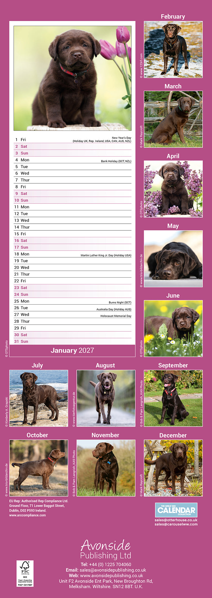otter-house-labrador-retriever-slim-kalender-2027-hunde image 2