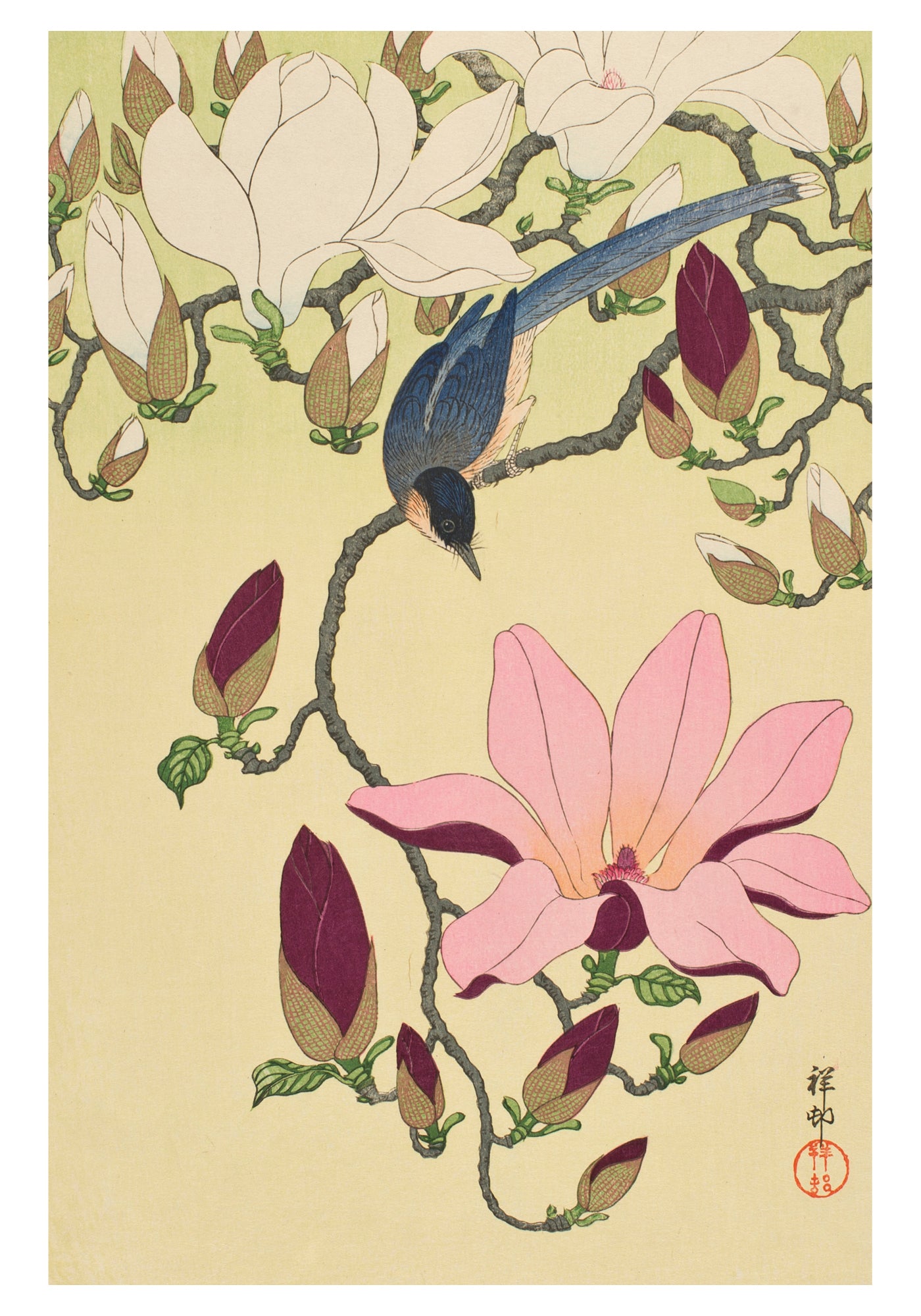 pomegranate-shoson-magnolia-magpie-klappkarten-set-v-gel image 2