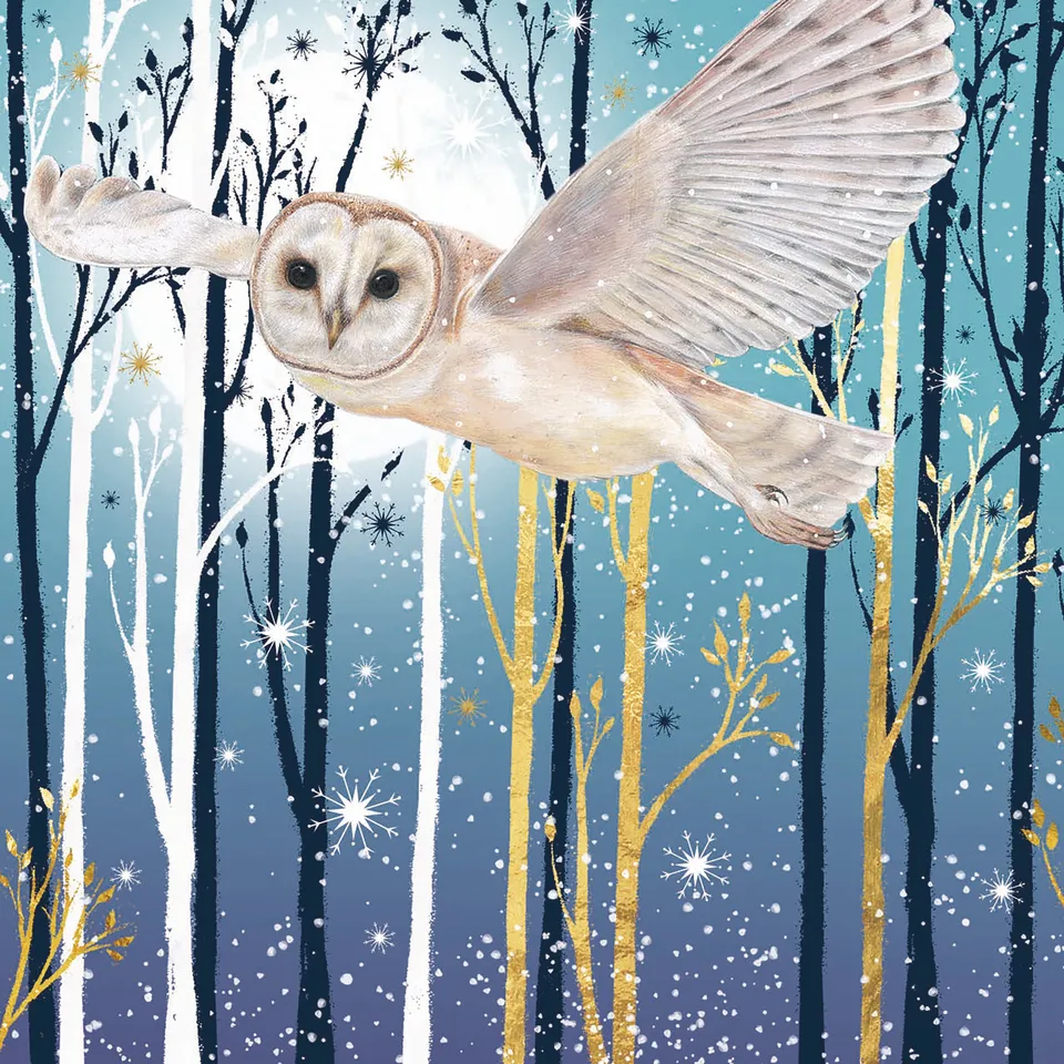 otter-house-forest-flight-weihnachtskarten-charity-set-eule image 1