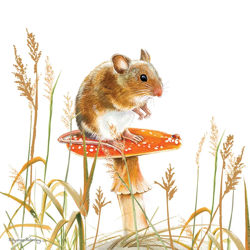otter-house-pollyanna-pickering-maus-gru-karte image 1