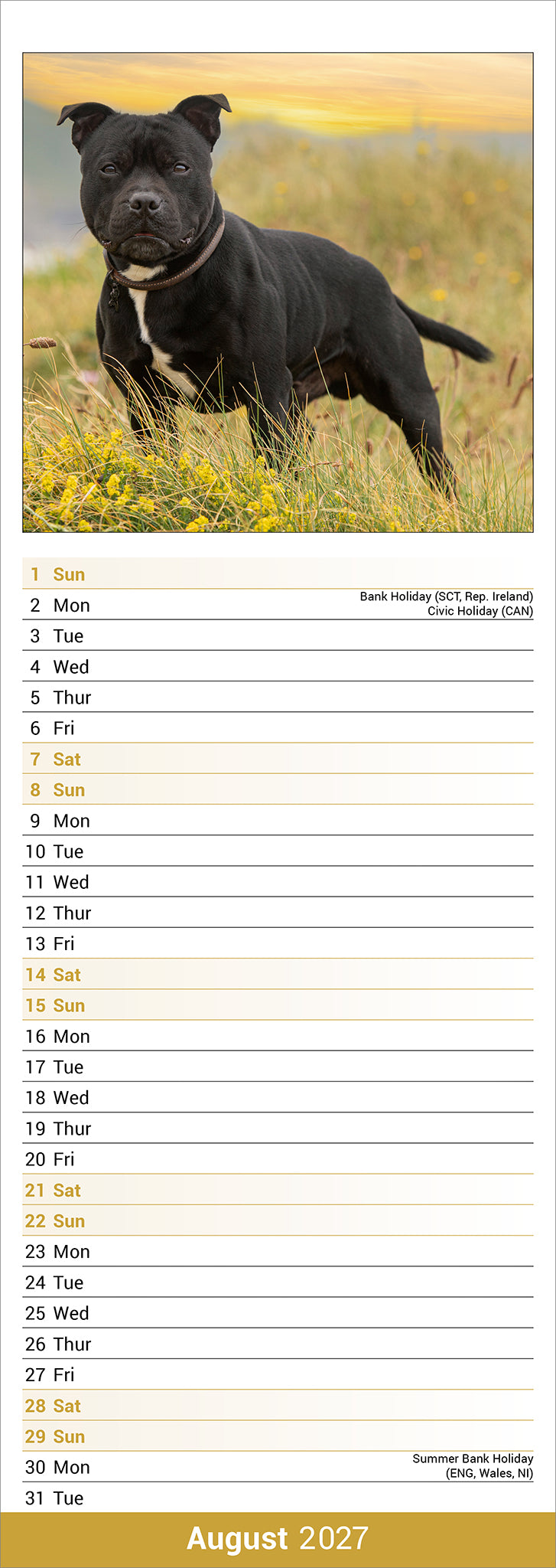 otter-house-staffordshire-bull-terrier-kalender-2027 image 3