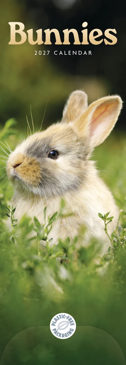 otter-house-bunnies-slim-kalender-2027-hasen image 1