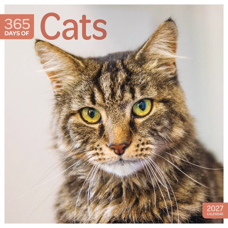 otter-house-cats-365-days-wandkalender-2027-katzen image 1