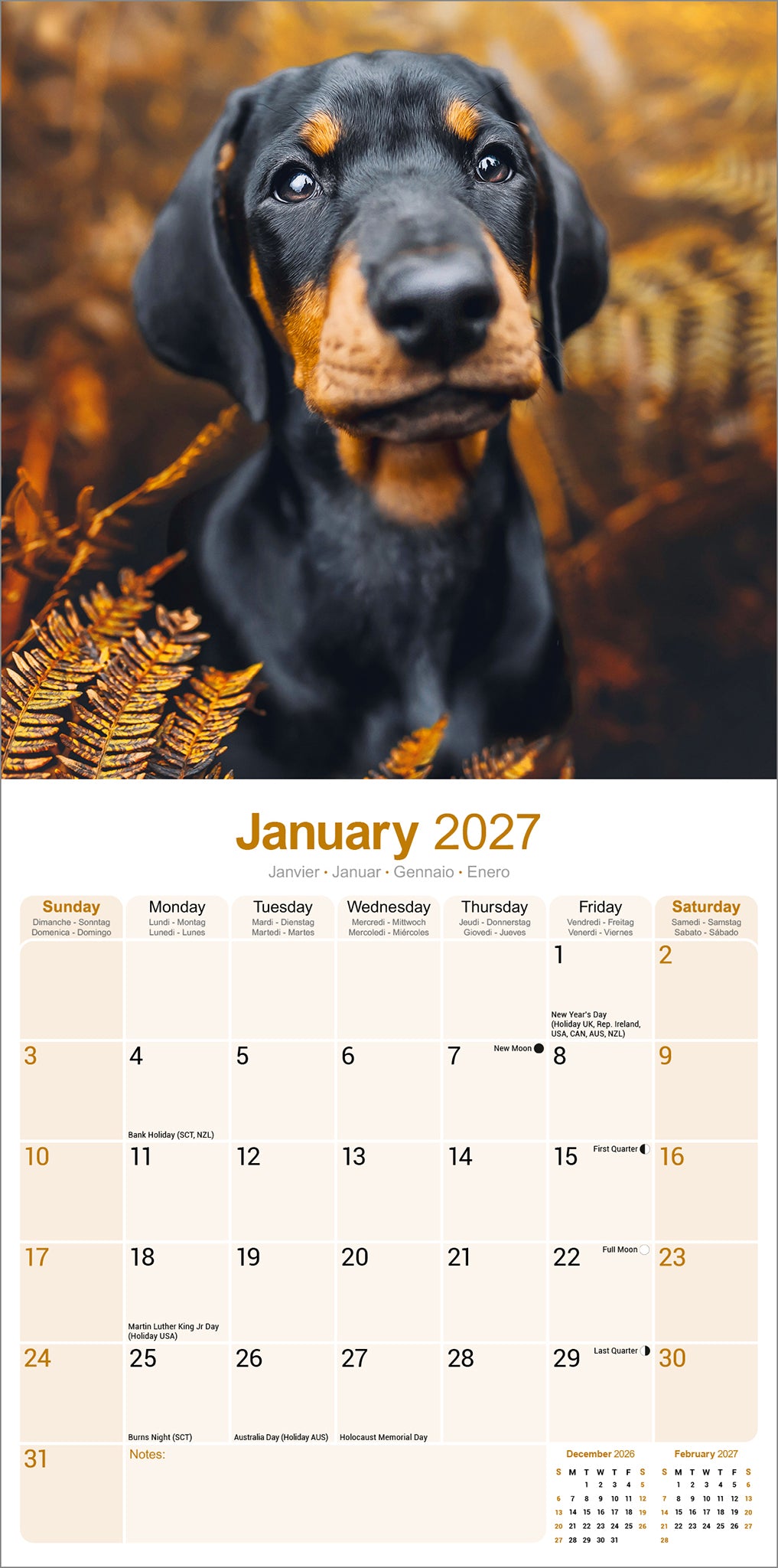 otter-house-dobermann-wandkalender-2027-hunde image 3