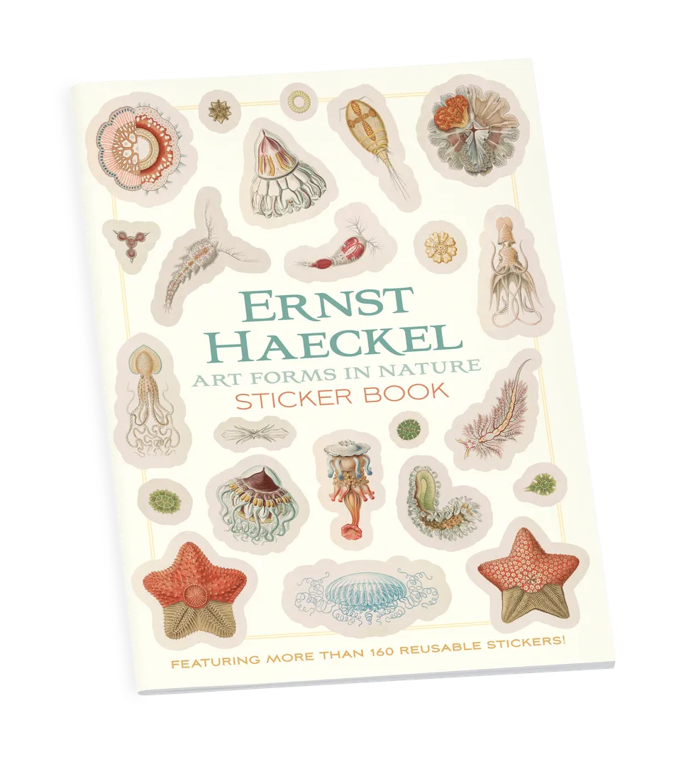 pomegranate-ernst-haeckel-stickerbuch-kunstformen-der-natur-tiere image 1