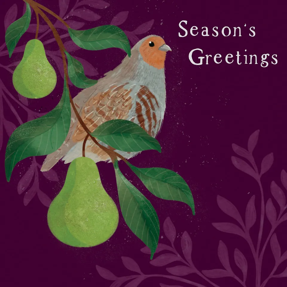 otter-house-rspb-weihnachtskarten-partridge-pear-tree-10-st image 1