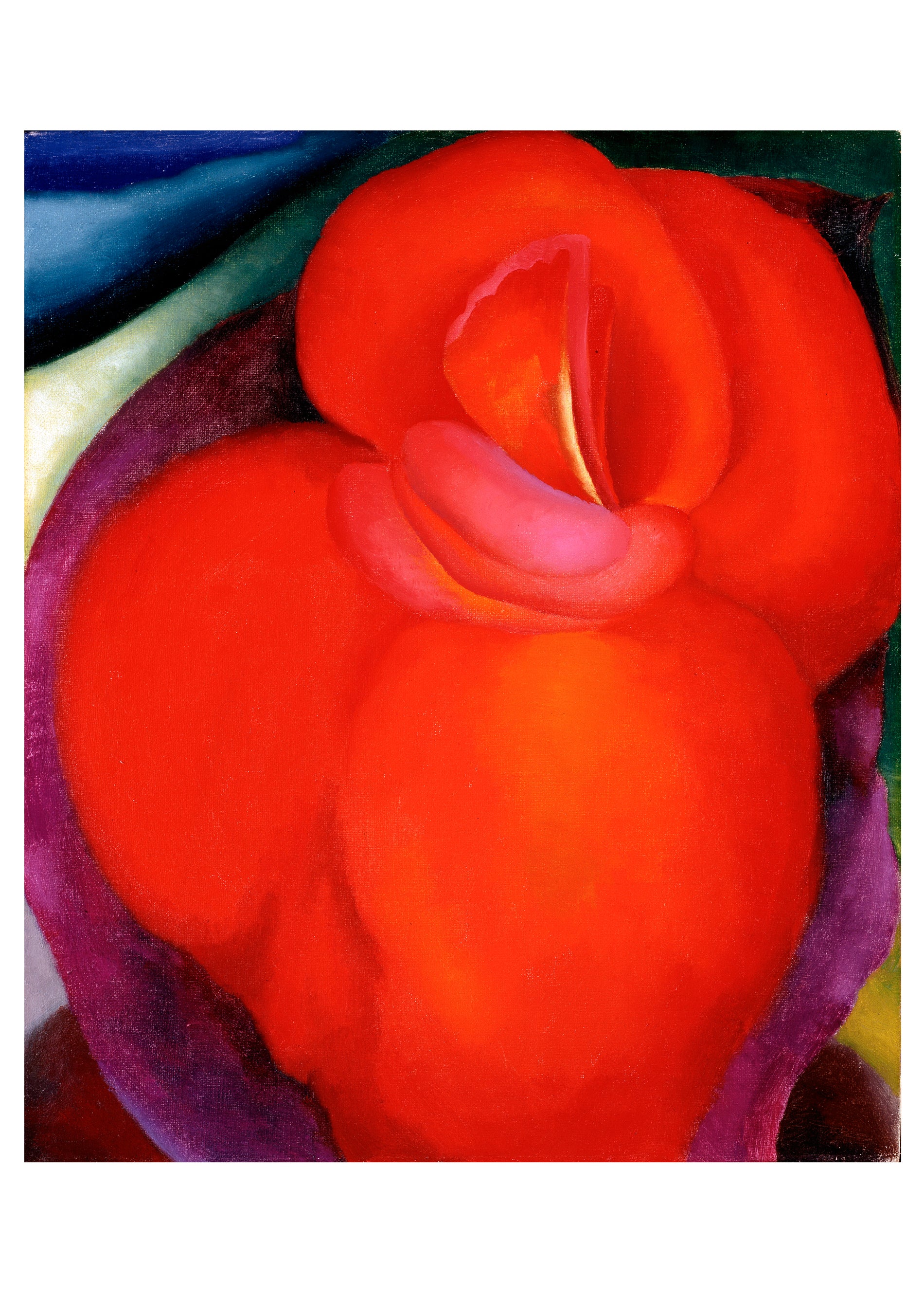pomegranate-georgia-o-keeffe-notecard-folio-karten-blumen-10er image 2