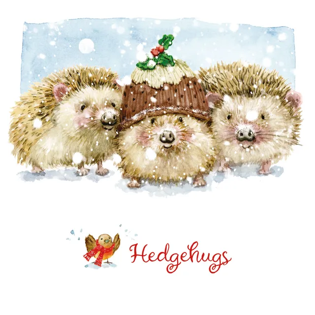 otter-house-hedgehugs-weihnachtskarten-10er-pack-charity image 1