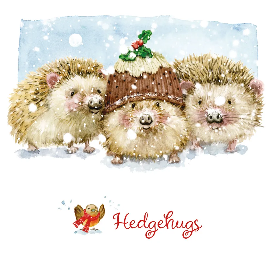 otter-house-hedgehugs-weihnachtskarten-10er-pack-charity image 1