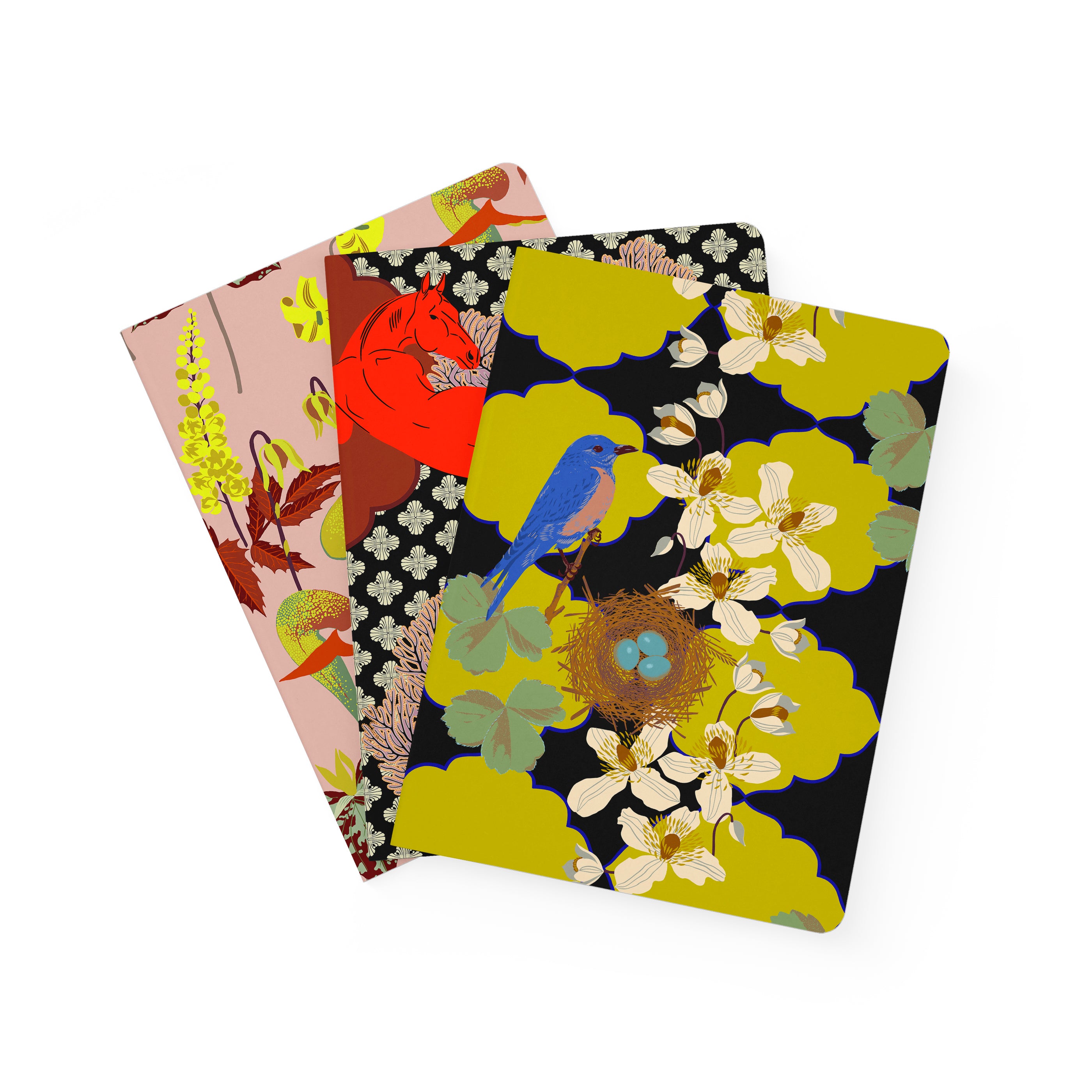pomegranate-kate-blairstone-notizbuch-set-large-v-gel image 2