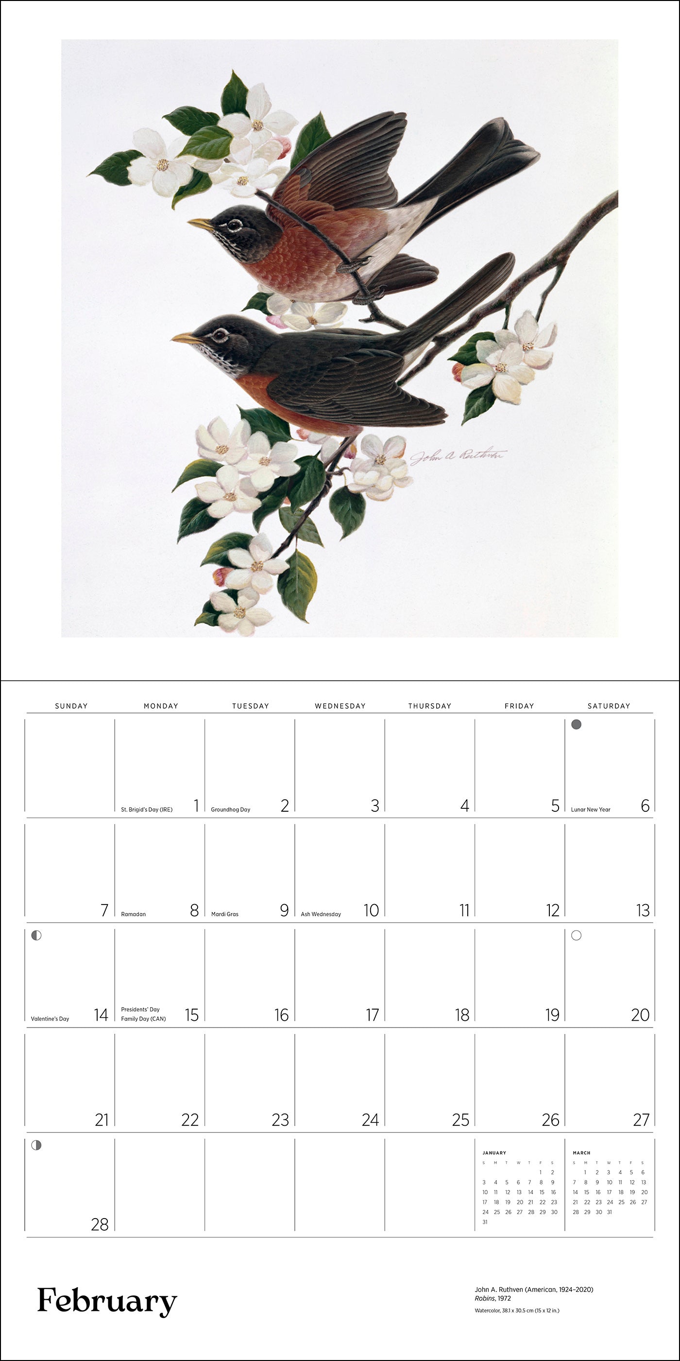 pomegranate-wall-calendar-ruthven-v-gel-wandkalender-2027 image 3