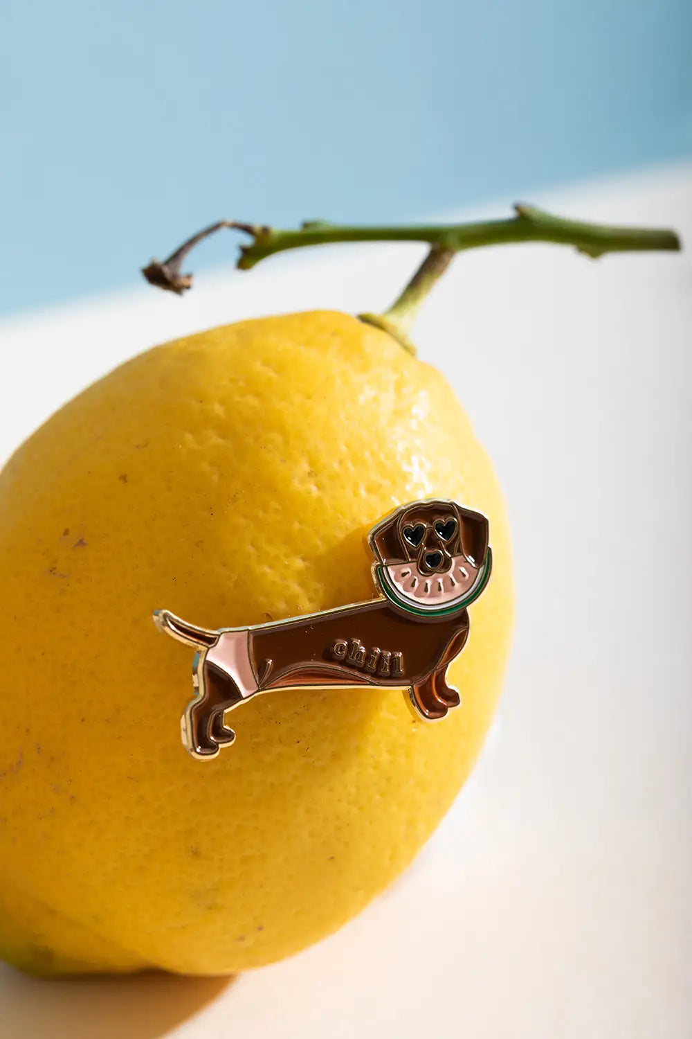all-the-ways-to-say-pins-chill-doggy-emaille-pin-24x40-mm-gold image 2