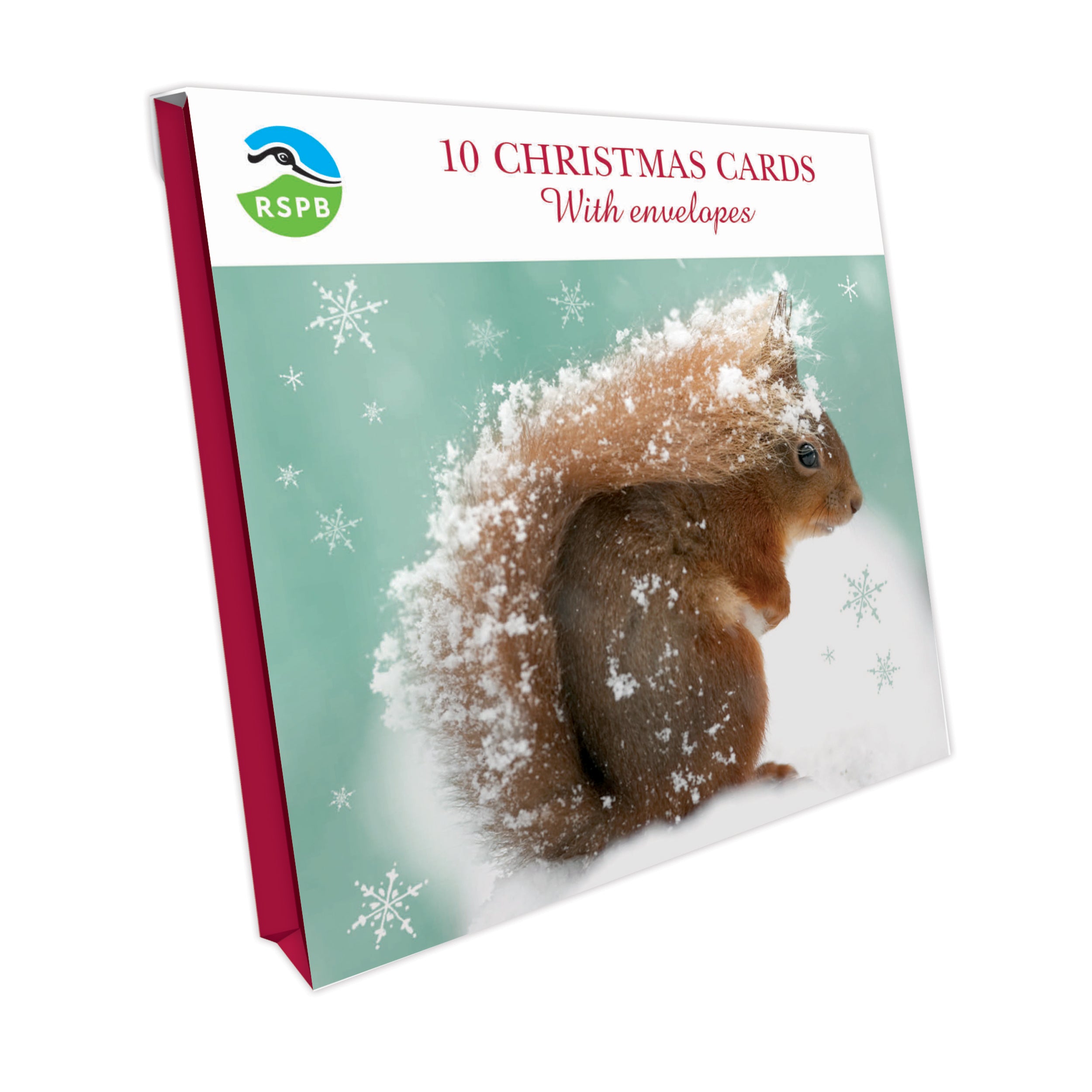 otter-house-squirrel-in-snow-weihnachtskarten-10er-rspb image 1