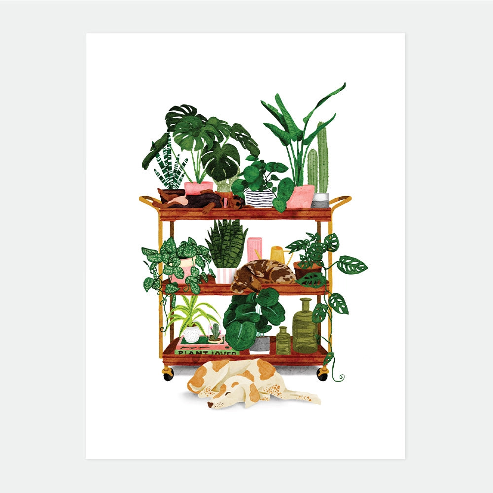 all-the-ways-to-say-plant-shelf-poster-pflanzen-29-7x39-7-cm image 1