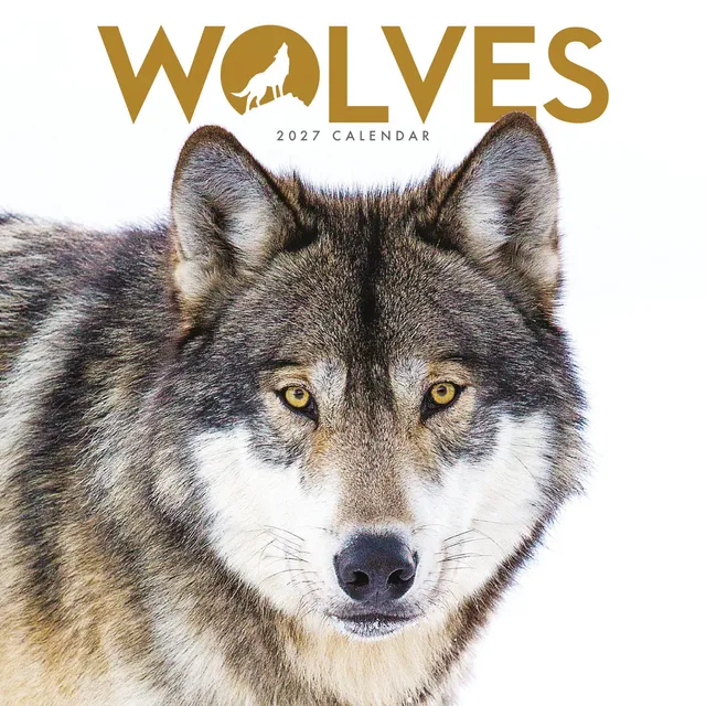 otter-house-wolves-mini-wandkalender-2027-w-lfe image 1