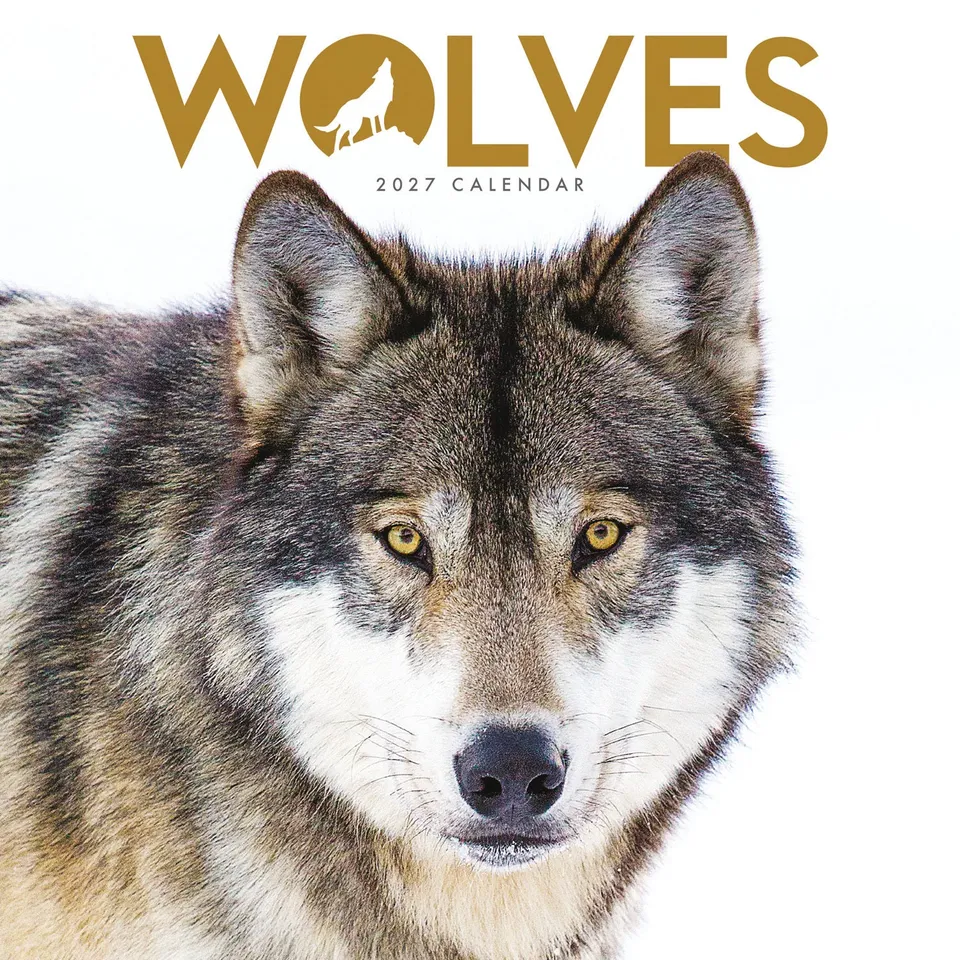 otter-house-wolves-mini-wandkalender-2027-w-lfe image 1
