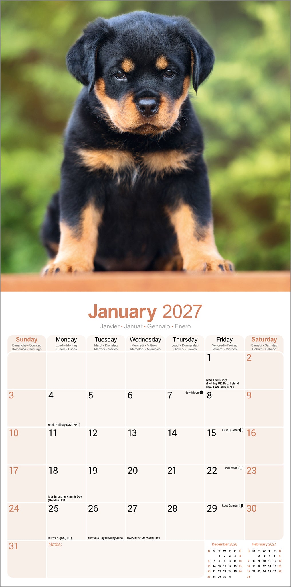 otter-house-rottweiler-wall-calendar-2027-hunde-wandkalender image 3