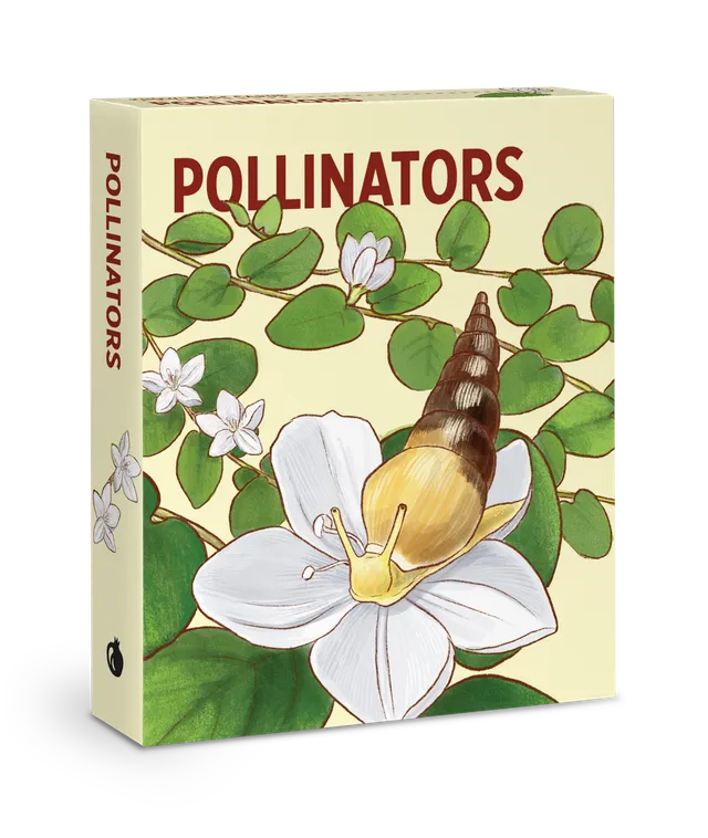pomegranate-pollinators-knowledge-cards-lernkartei-48-karten image 1