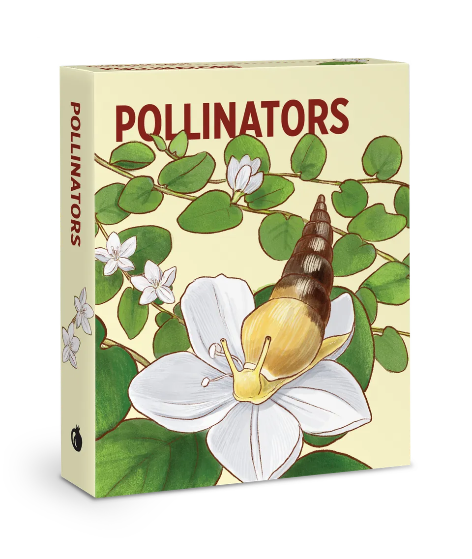 pomegranate-pollinators-knowledge-cards-lernkartei-48-karten image 1