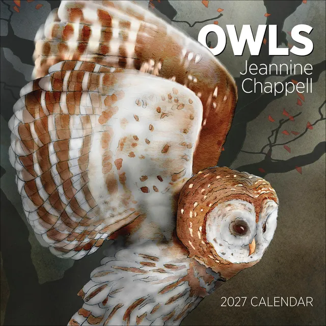 pomegranate-owls-chappell-2027-wandkalender-eulen image 1