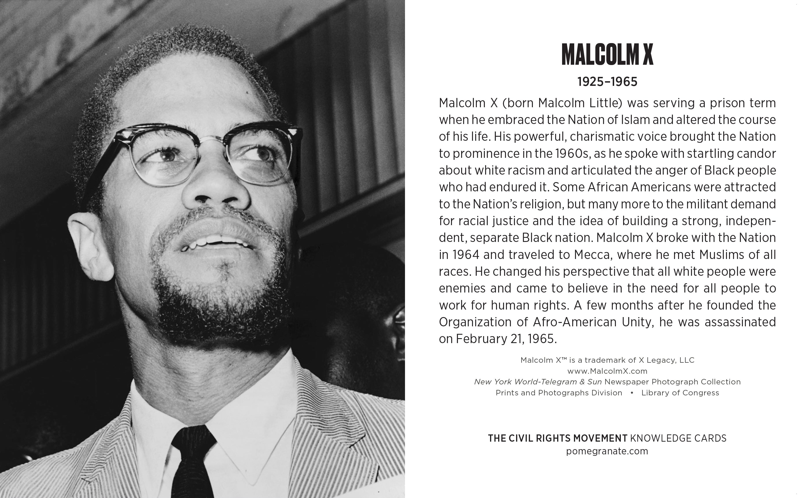 pomegranate-knowledge-cards-civil-rights-movement-lernkarten-48-karten image 3