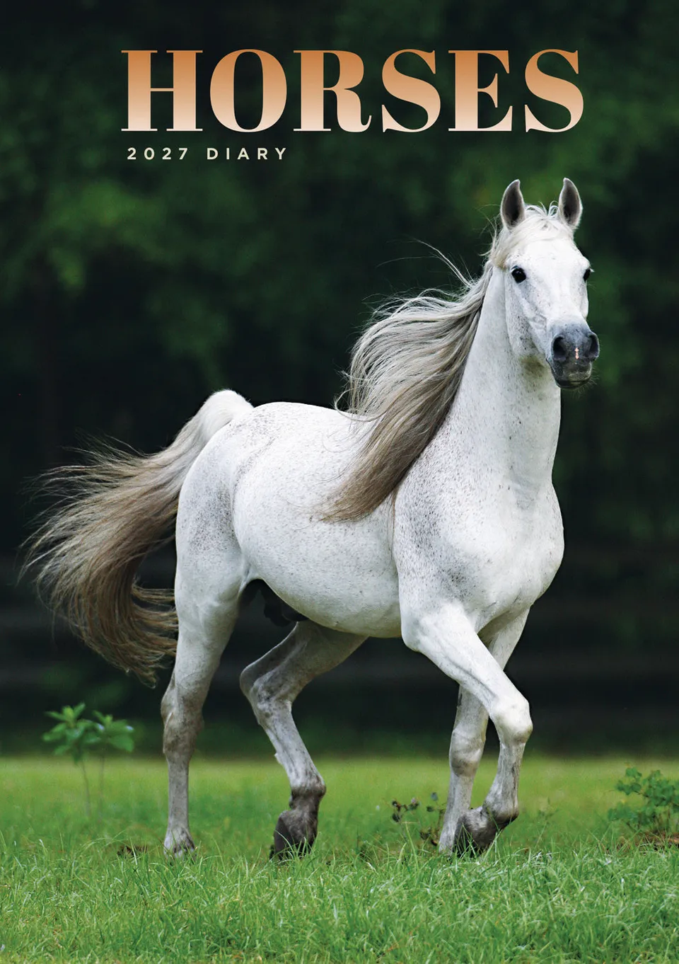 otter-house-horses-a5-diary-2027-terminkalender-pferde image 1
