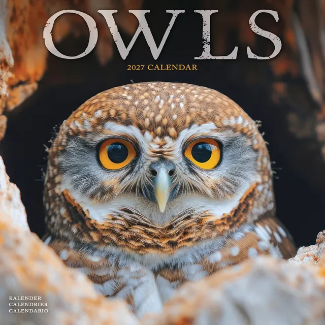 otter-house-owls-wall-calendar-2027-wandkalender-eulen image 1