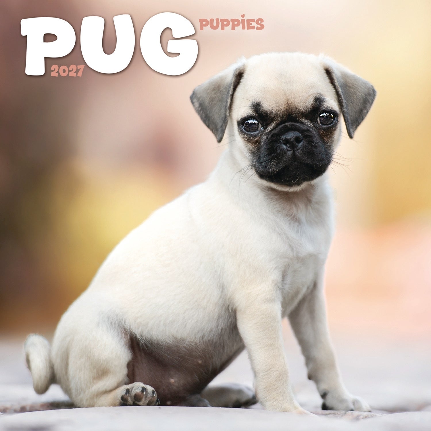 otter-house-pug-puppies-mini-calendar-2027-wandkalender-mops image 1