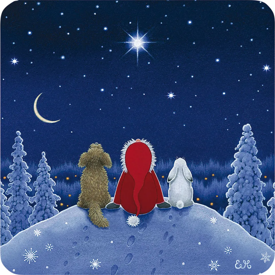 otter-house-christmas-weihnachtskarten-star-gazing-10er-pack image 1