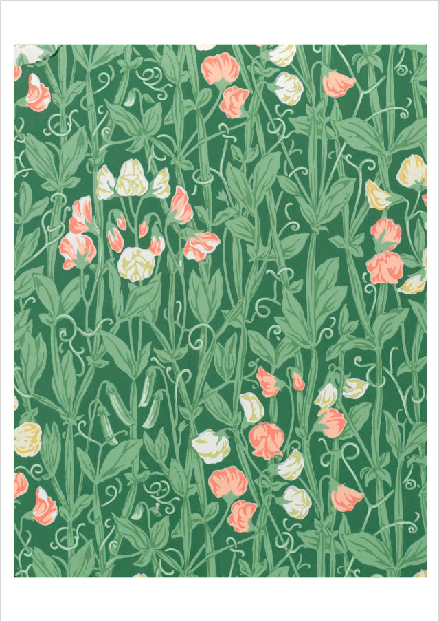 pomegranate-birthday-cards-william-morris-sweetpea-pattern-geburtstagskarte image 1