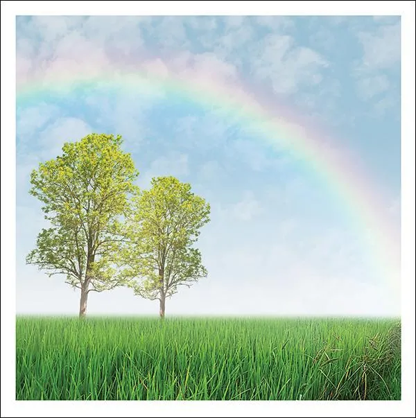 otter-house-snozzle-rainbow-bridge-trauerkarte-haustier image 1