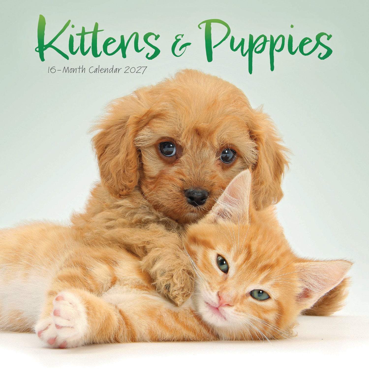 otter-house-kittens-puppies-mini-kalender-2027-tiere image 1
