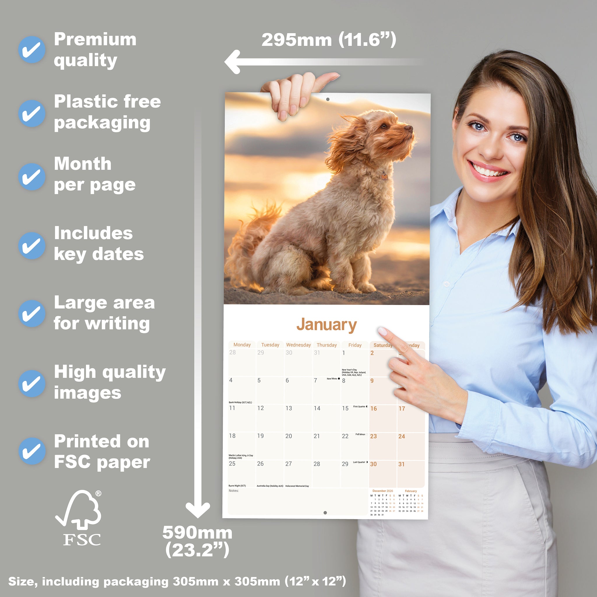 otter-house-cavapoo-wandkalender-2027-hunde image 4