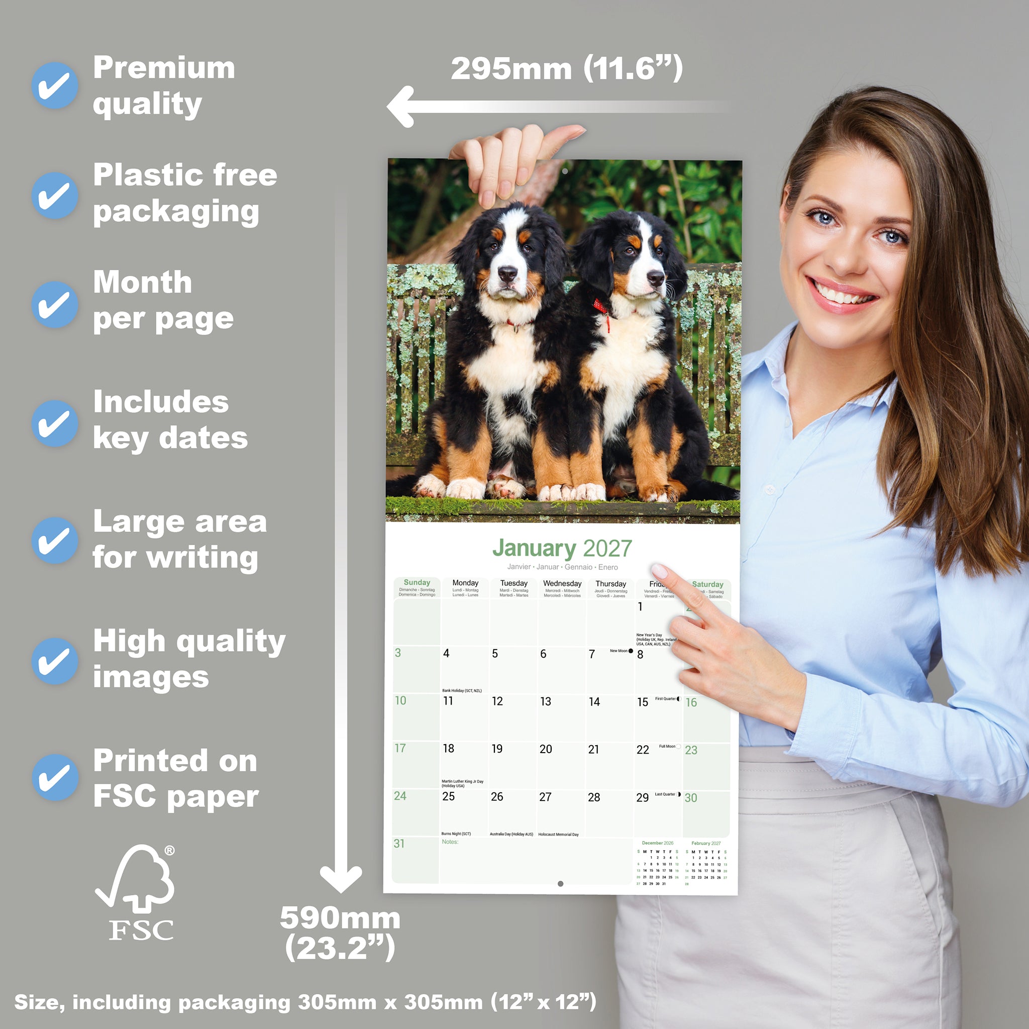 otter-house-berner-sennenhund-wandkalender-2027-hunde image 4