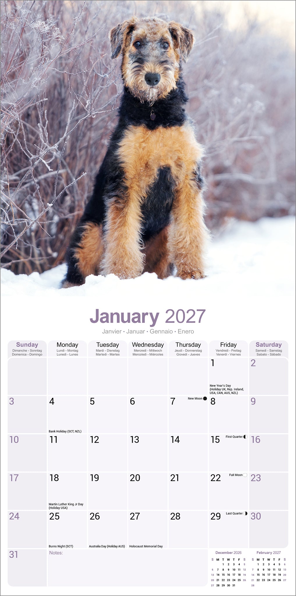 otter-house-airedale-terrier-wandkalender-2027-hundemotiv image 3